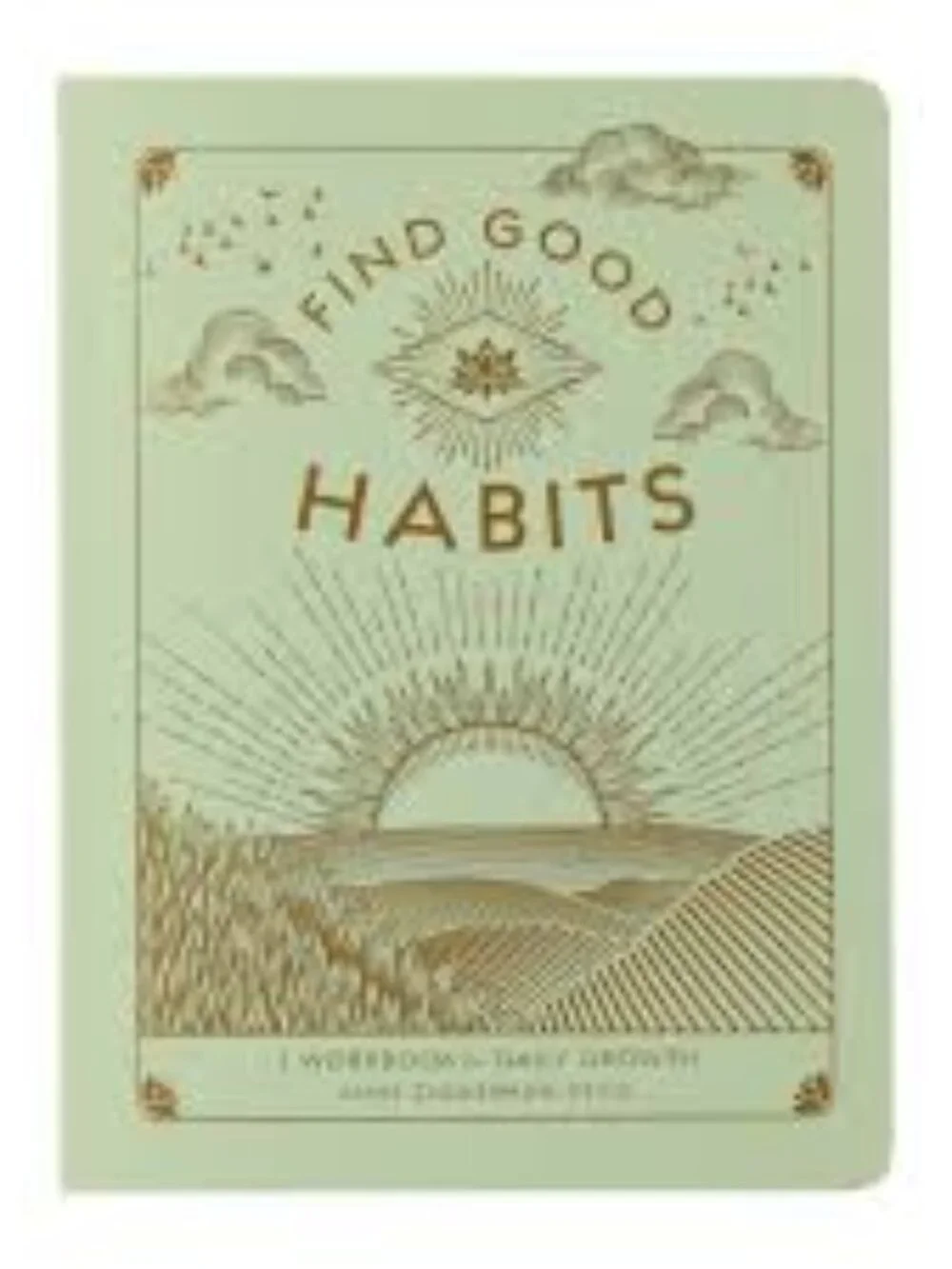 Find Good Habits Workbook Paperback